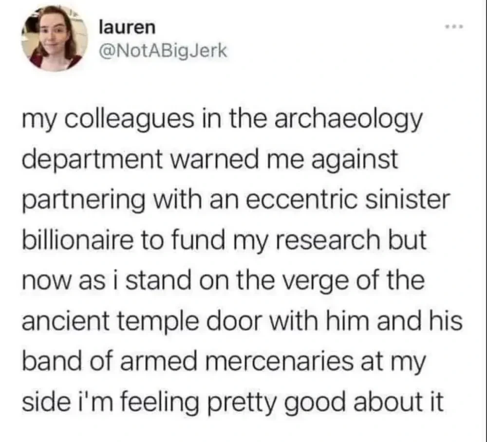 my colleagues in the archaeology department warned me against partnering with an eccentric sinister billionaire to fund my research but now as i stand on the verge of the ancient temple door with him and his band of armed mercenaries at my side i'm feeling pretty good about it