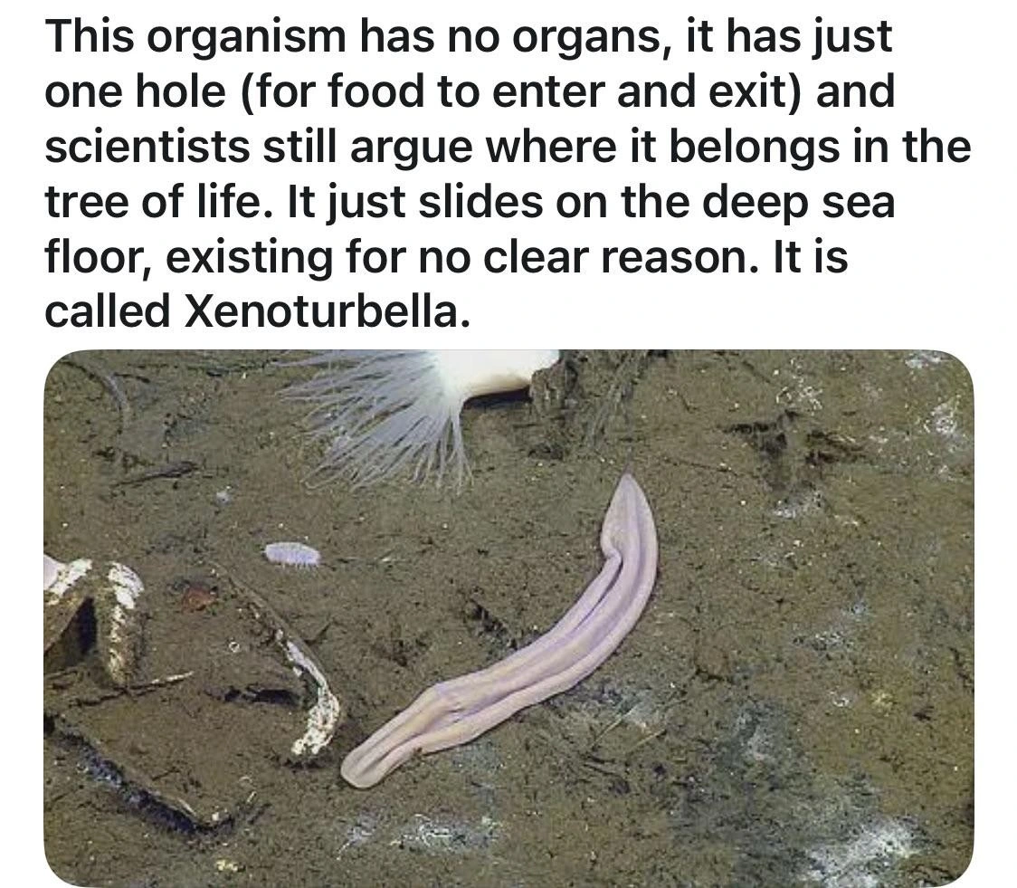 omg hes just like me