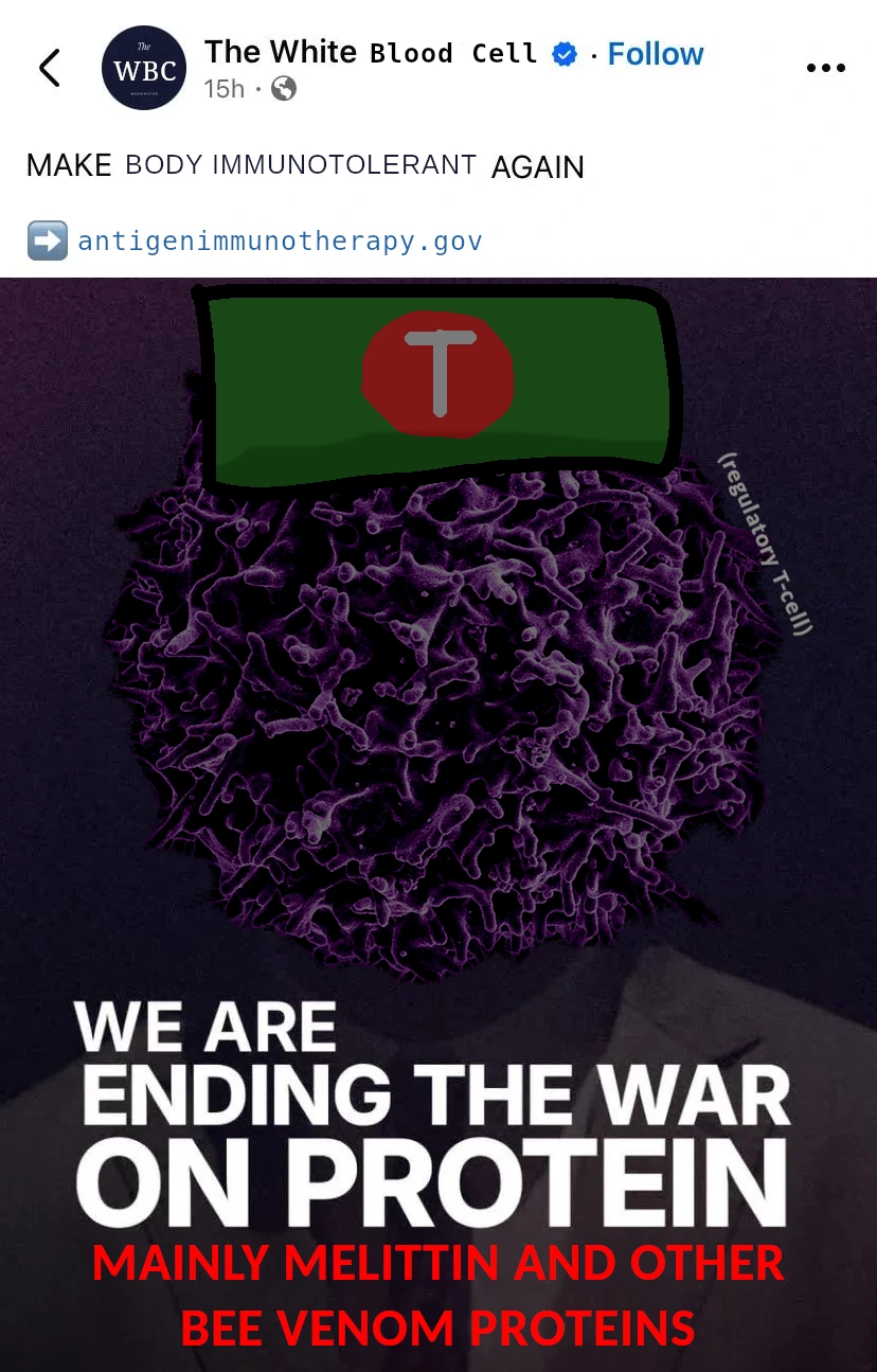 Social media post parodying posts from The White House: Post from "The White Blood cell": Make Body Immunotolerant Again - antigen immunotherapy.gov, underneath is an image reading WE ARE ENDING THE WAR ON PROTEIN - MAINLY MELITTIN AND OTHER BEE VENOM PROTEINS