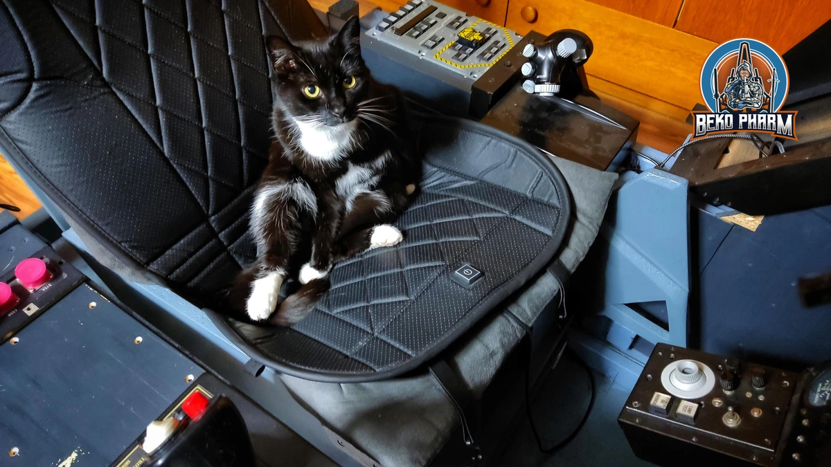 A cat sitting in the pilot seat of a home cockpit